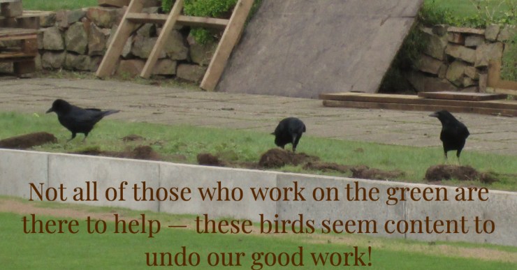 23C9A1B7-F07B-4902-95D4-B4E2F9DA16DF